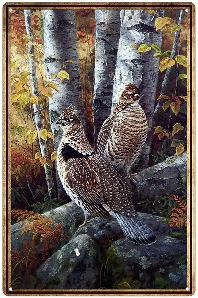 Home Bathroom Wall Decor - Vintage Metal Sign Grouse Ruffed Wildlife