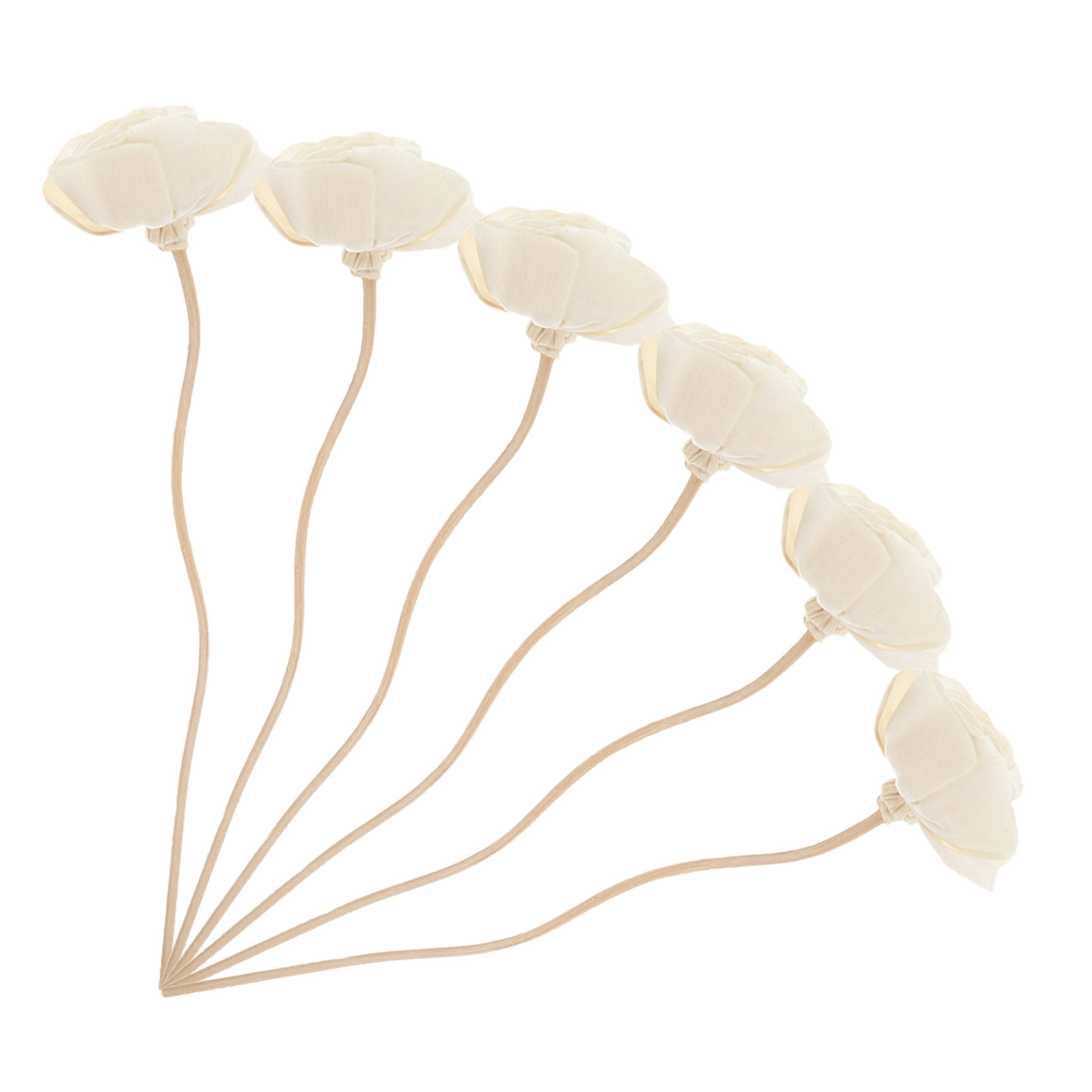 6Pcs Flower-Designed Rattan Di - Home Bathroom Essentials avis et prix