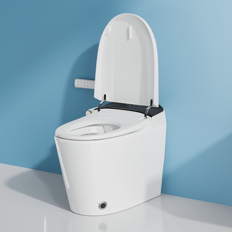 Home Decoration Bathroom Smart - Home In Bathroom avis et prix